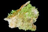 Vibrant Green Pyromorphite Crystal Cluster - China #112210-1